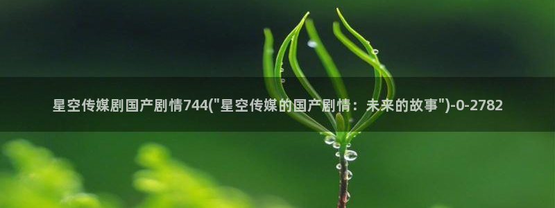 星空传媒苏风敏