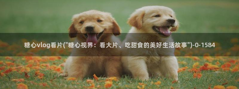 糖心vlog直接看：糖心vlog看片(\