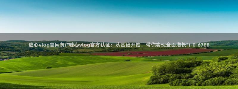 糖心vlog视频在线：糖心vlog官网黄(\