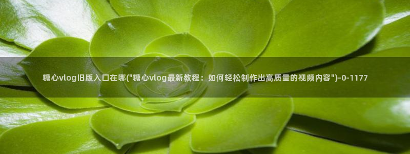 糖心.vlog：糖心vlog旧版入口在哪(\