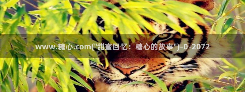 糖心传媒vlog在线观看：www.糖心.com(\