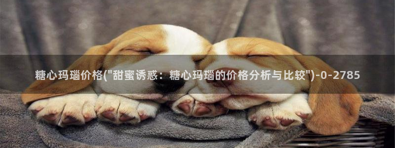 糖心vlog网站观看