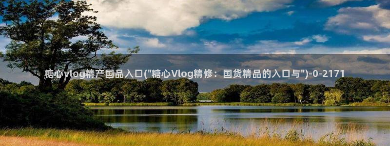 糖心txvlogcom