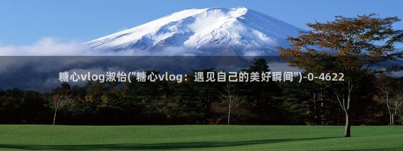 心糖vlog在线观看