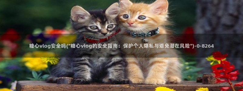 糖心vlog新官网入口