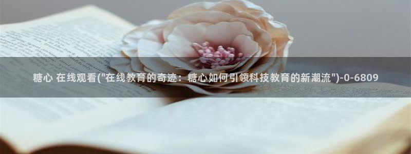 糖心vlog免费版在线观看
