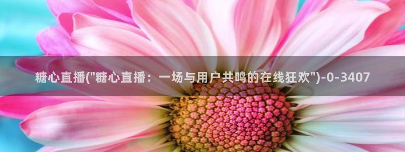 心糖vlog在线免费观看