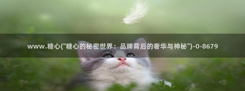 vlog糖心