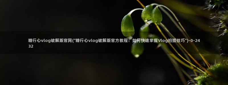 心糖vlog免费在线观看