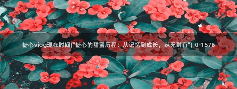 糖心vlog唐伯虎女主角