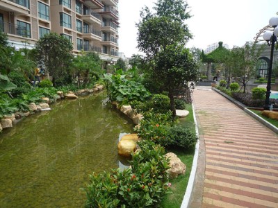 旅行出行VLOG文章介绍